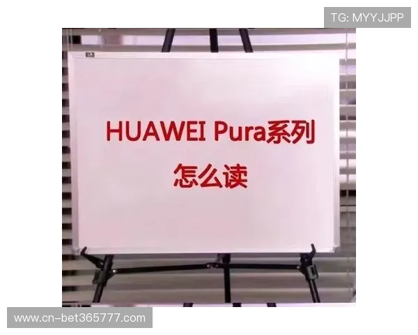 bte365安卓多平台兼容性评测，确保各种安卓设备都能流畅运行