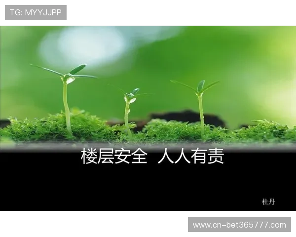 详细介绍365日博手机官方地址的官方安全通道保障您的账号信息安全无忧 详细介绍365日博手机官方地址的官方安全通道保障您的账号信息安全无忧