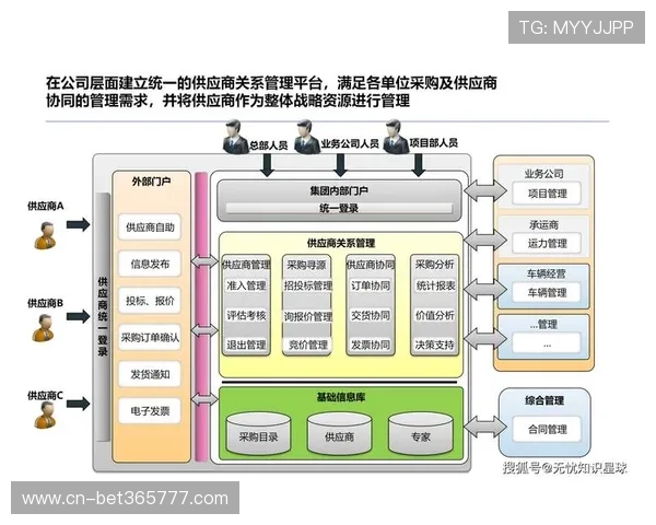 365日博集团在数字化转型中的关键举措与技术应用分析