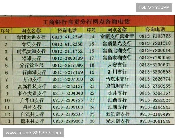 365速发官网与其他平台的区别与优势，选择最适合您的交易渠道
