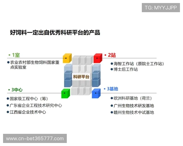 7M体育平台的客户服务体系与常见问题解决方案详尽解读