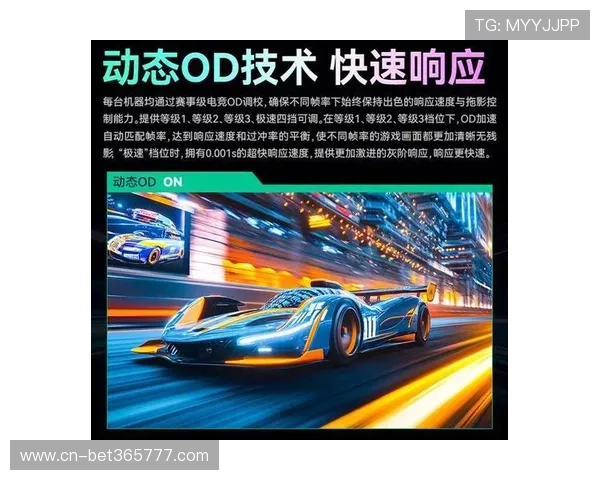 OD体育旗舰厅安全登录与账号保护措施,确保用户账户信息安全的详细方案